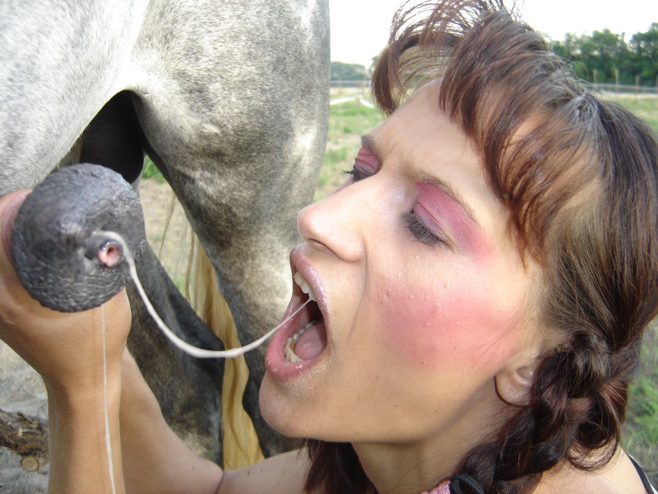 Horse cum eating